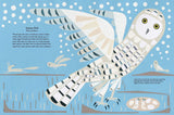 My Book of Birds; Geraldo Valerio