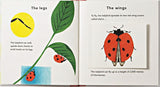 The Ladybird; Bernadette Gervais
